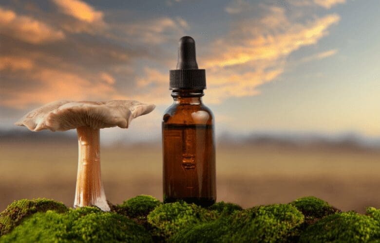 mushroom extract supplements healing points acupuncture near me dr. michelle iona wellness center riverhead acupuncturist