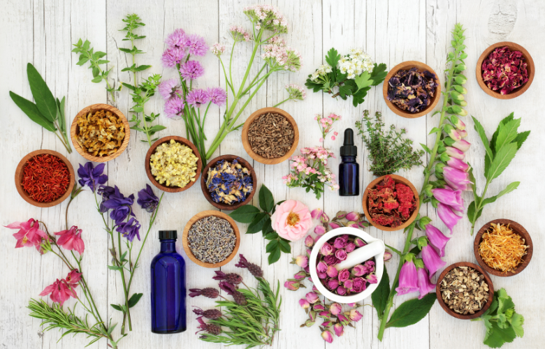 chinese herbal medicine for summer season health healing points acupuncture near me dr. michelle iona wellness center riverhead acupuncturist herbalist functional medicine doctor 